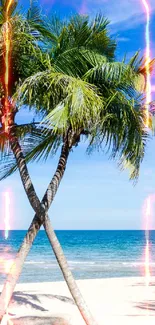 Tropical beach with palm trees and blue ocean under a clear sky.