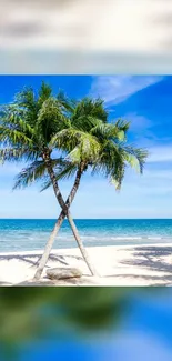 Palm trees on a tropical beach with blue sky and ocean in the background.