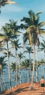 Tropical beach with palm trees and ocean view.