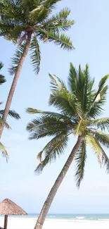 Palm trees sway against a tropical blue sky on a serene beach.