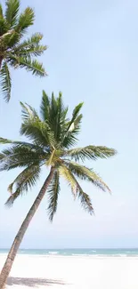 Palm trees and straw huts on a sunny tropical beach.