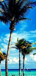 Lush palm trees under a vivid blue sky by the ocean, ideal for a tropical wallpaper.