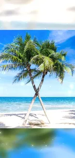 Palm trees on a sunny tropical beach with clear blue sky.