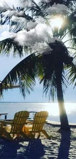 Tropical beach with palm tree and sunlit sky.