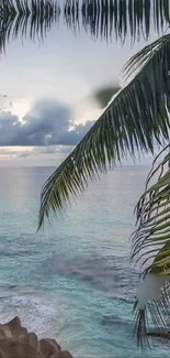 Tropical beach with palm trees and ocean view at sunset.