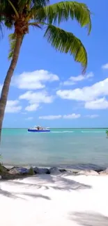 Tropical beach scene with palm tree and blue ocean under sunny sky.