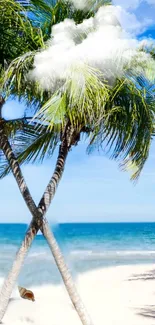 Tropical beach wallpaper with palms and ocean.