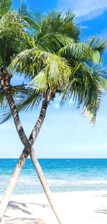A scenic tropical beach with crossed palm trees and a vivid blue sky.