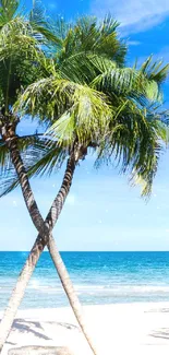 Tropical beach wallpaper with palm trees and ocean view against a blue sky.