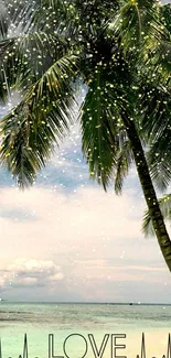 Tropical beach with palm trees and ocean view wallpaper.