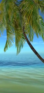 Tropical palm tree over a turquoise beach with blue sky.