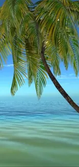 Tropical palm tree with ocean and blue sky wallpaper.