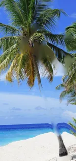 Tropical beach with palm trees and vibrant blue ocean under a clear sky.