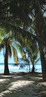 Tropical beach with palm trees and blue sky wallpaper.