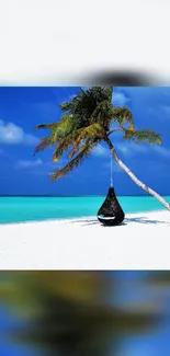 Tropical beach scene with palm tree and turquoise sea.