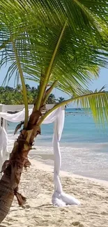 Palm-lined tropical beach with blue ocean and sandy shore.