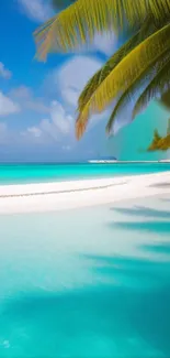 Tropical beach with turquoise water and palm trees.