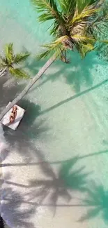 Aerial view of serene tropical beach with palm trees and turquoise water.