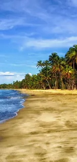 Tropical beach with palm trees and blue ocean under a clear sky.