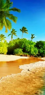 Tropical beach scene with palms and blue sky.