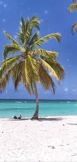 Tropical beach with palm trees and clear blue ocean under a sunny sky.