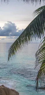 Tropical beach with palm trees and ocean view.