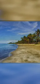 Blue sky beach with palm trees and ocean view, perfect for mobile wallpaper.