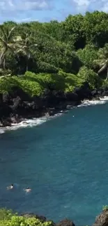 Tropical beach with palm trees and blue waters.