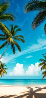 Tropical beach scene with palm trees and blue ocean under a radiant sky.