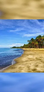 Tropical beach with palms under a blue sky.