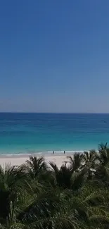 A tropical beach scene with blue ocean and palm trees under a clear sky.