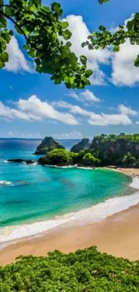 Tropical beach with blue sky, lush greenery, and sandy shore.