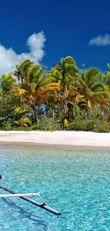 Tropical beach with palm trees and clear blue water.