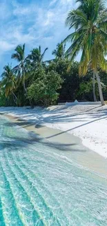 Tropical beach with palm trees and clear blue water.