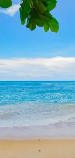 Tropical beach with azure sea and green leaves in view.