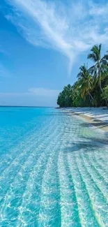 Tropical beach with clear water and palm trees under a vibrant blue sky.