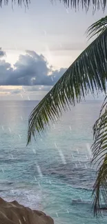 Tropical beach with palm trees and ocean view.