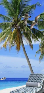 Tropical beach with palm trees and blue ocean view.