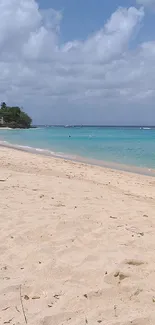 Tropical beach view with golden sand and clear blue skies.