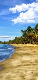 Tropical beach with palm trees and blue sky, serene mobile wallpaper.