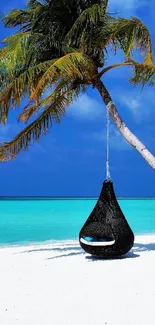 Tropical beach with palm tree and clear blue ocean waters under a vibrant sky.