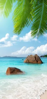 Tropical beach with palm trees, turquoise ocean, and sandy shore, perfect wallpaper.