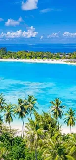 Tropical paradise beach with palm trees and turquoise waters.