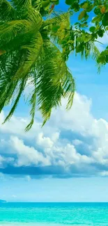 Tropical beach with palm trees and a clear blue sky.