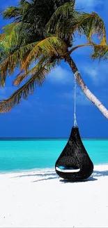 Tropical beach scene with blue sky, white sand, and a palm tree.