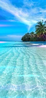 Mobile wallpaper of a tropical beach with clear blue waters and palm trees.