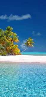 A tropical beach wallpaper with clear blue waters and lush palm trees.