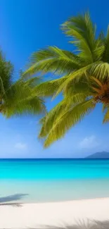 A stunning tropical beach with palm trees and turquoise water under a blue sky.