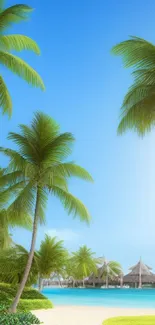 Tropical beach with palm trees and clear blue sky.