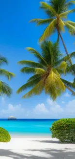 Tropical beach wallpaper with palm trees and blue ocean.